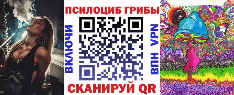 Псилоцибиновые грибы мицелий  Невель 